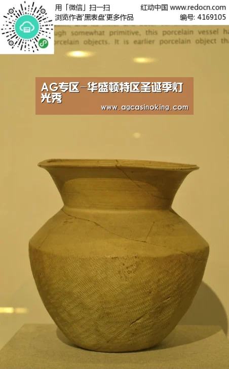 AG专区-华盛顿特区圣诞季灯光秀(图2) AG导航