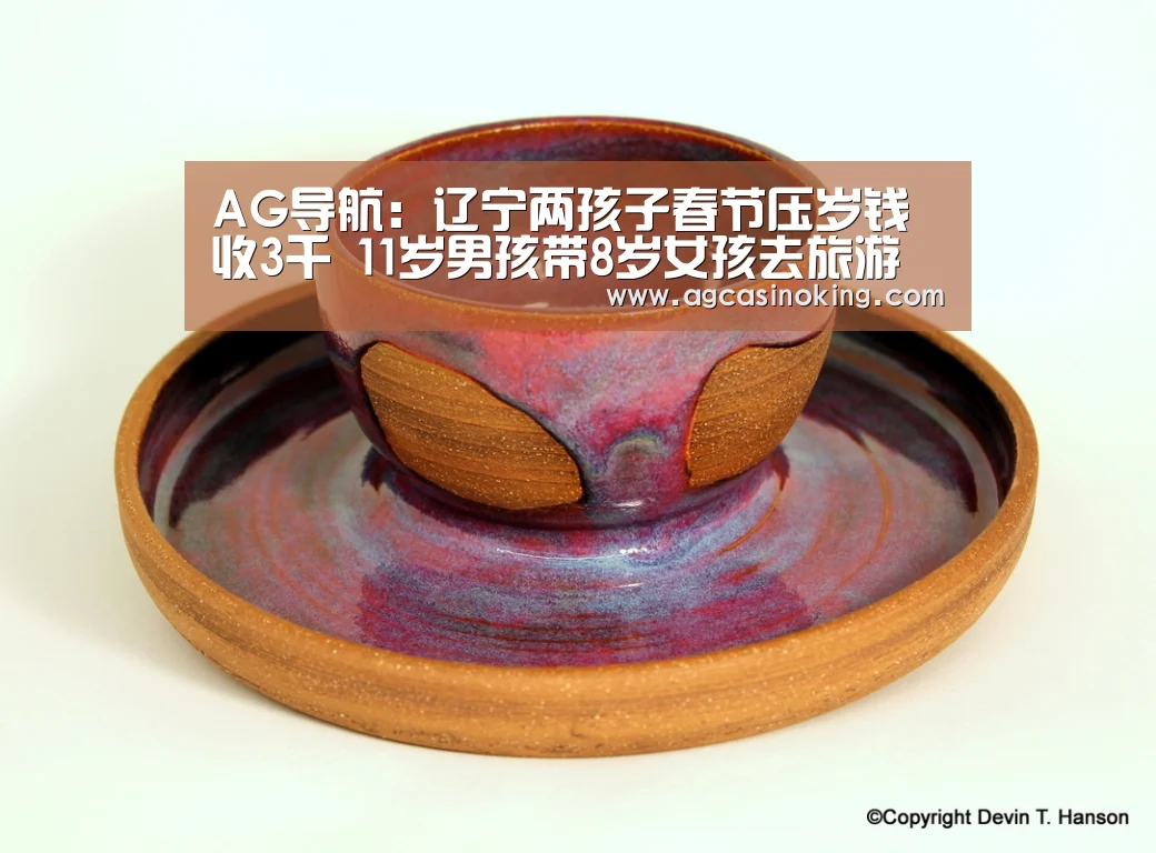 AG导航:辽宁两孩子春节压岁钱收3千 11岁男孩带8岁女孩去旅游(图2) AG娱乐