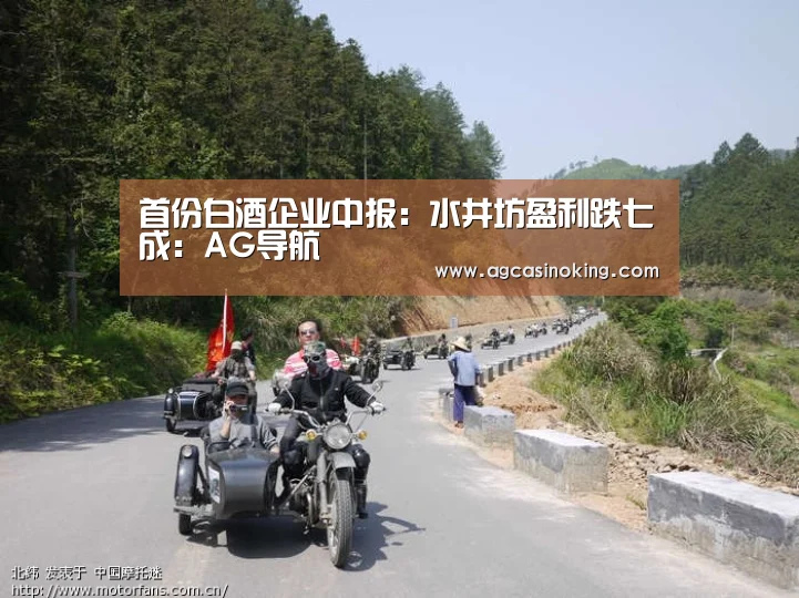 首份白酒企业中报:水井坊盈利跌七成:AG导航(图1) AG导航