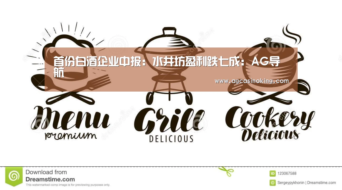 首份白酒企业中报:水井坊盈利跌七成:AG导航(图3) AG娱乐
