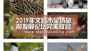 AG娱乐